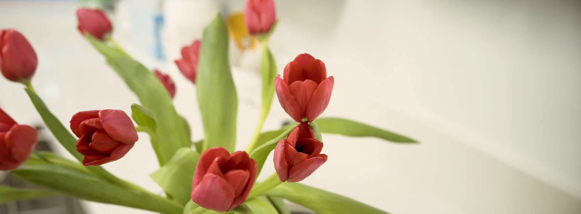 Vernon Woods Dental Implant Center | Veneers, Fluoride Treatment and Full Mouth Reconstruction